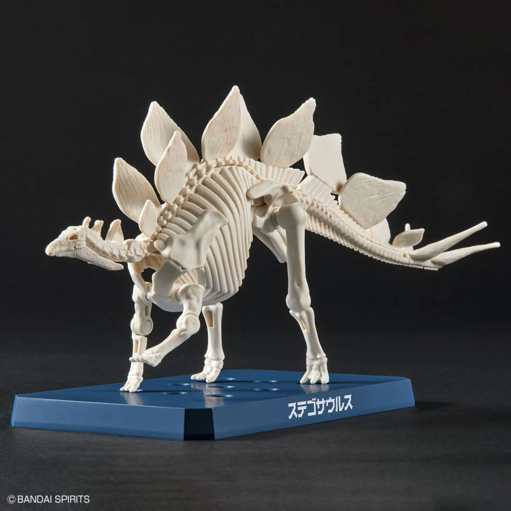 DINOSAUR - New Dinosaur Plastic Stegosaurus (Tentative) - Model Kit